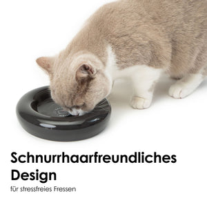 flacher Katzennapf für stressfreies Fressen