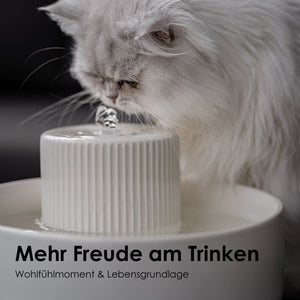 TREVI cat water fountain
