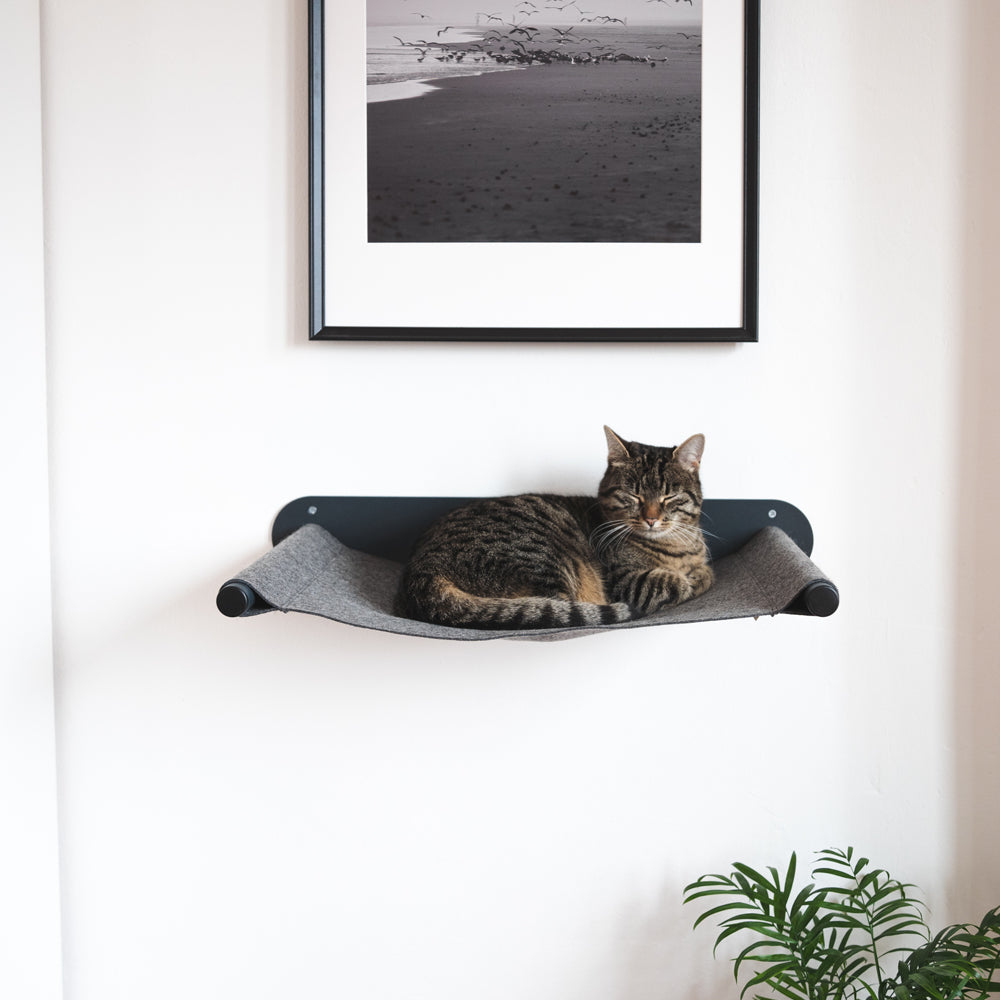 Getigerte Katze ruht entspannt in einer grauen Wandhängematte unter einem gerahmten Schwarz-Weiß-Foto.