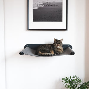 Getigerte Katze ruht entspannt in einer grauen Wandhängematte unter einem gerahmten Schwarz-Weiß-Foto.