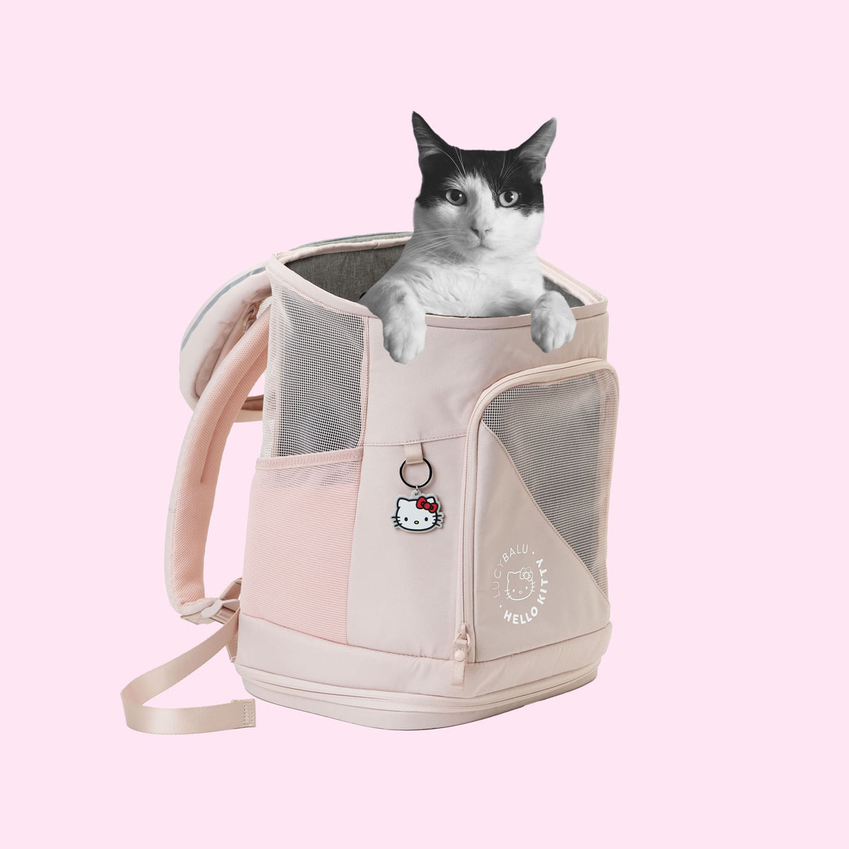 Katze im rosa HOP-ON Katzenrucksack Hello Kitty Edition mit Hello Kitty Logo am Vordertaschen