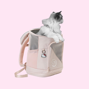 Graue Langhaarkatze schaut aus rosa HOP-ON Katzenrucksack Hello Kitty Edition vor rosa Hintergrund