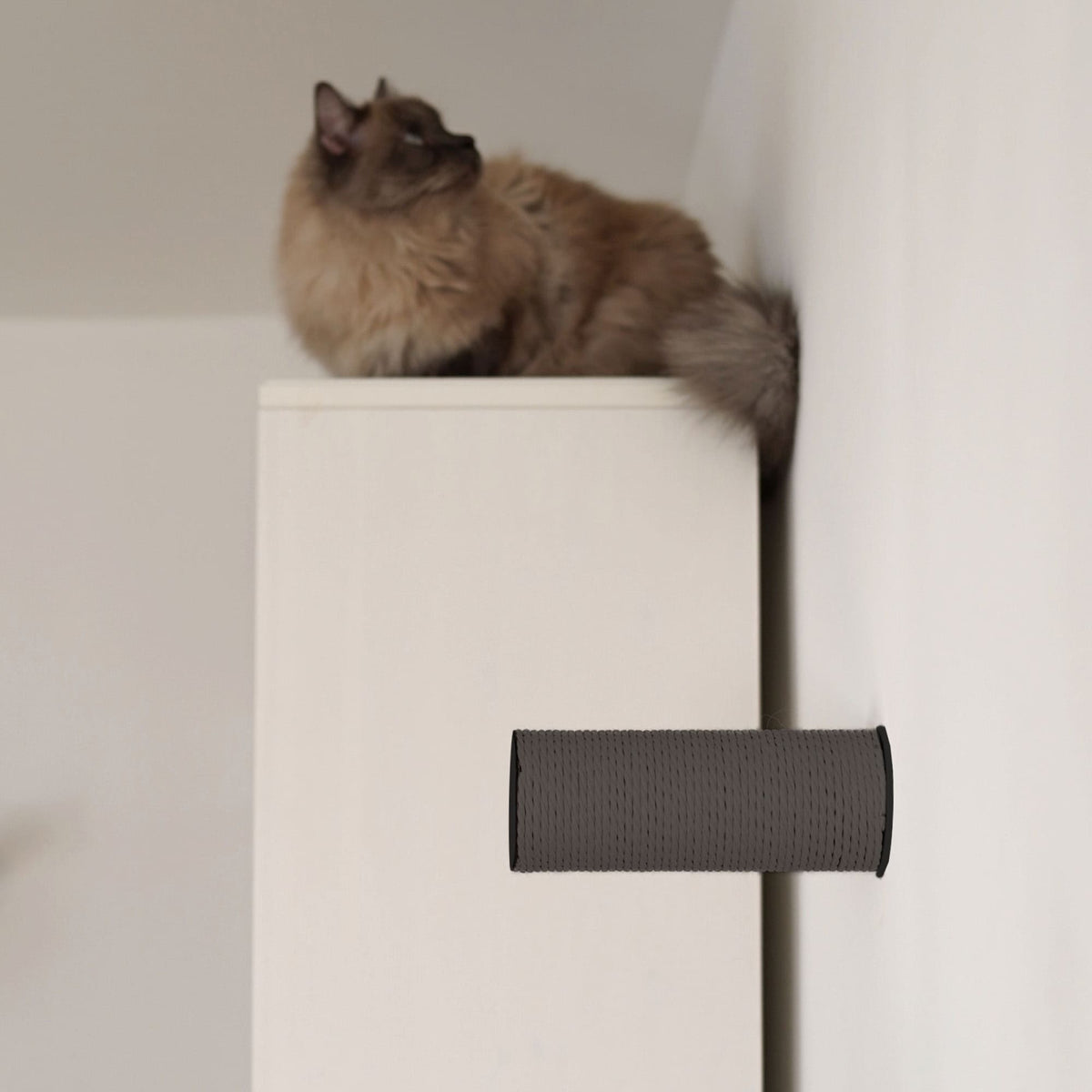 Poteau griffoir de rechange pour JUMPER LITE