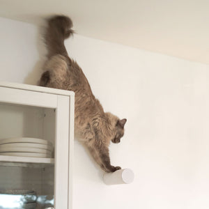 Poteau griffoir de rechange pour JUMPER LITE