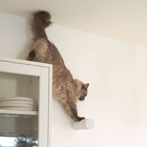 JUMPER LITE Kratzstamm in Weiß an der Wand, Katze springt herunter vom Schrank auf den Kratzstamm