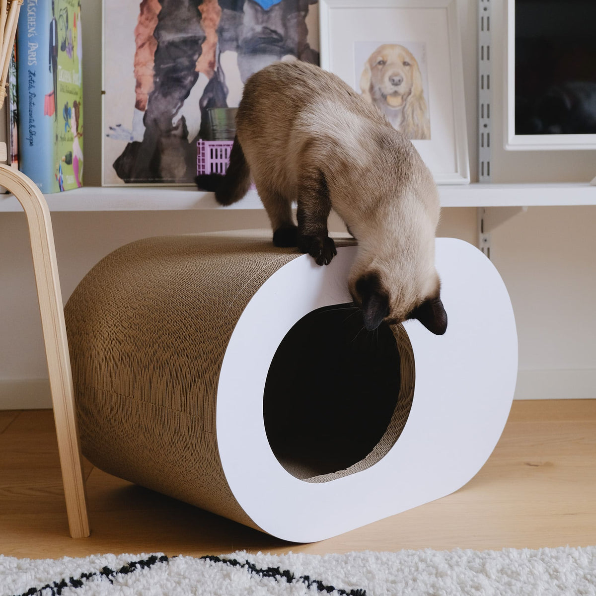 PAPERCAVE kattengrot