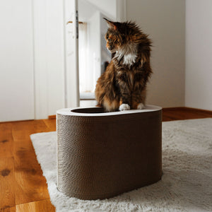 PAPERCAVE kattengrot