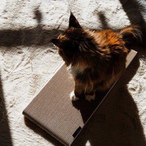 SCRATCHPAPER scratching cardboard