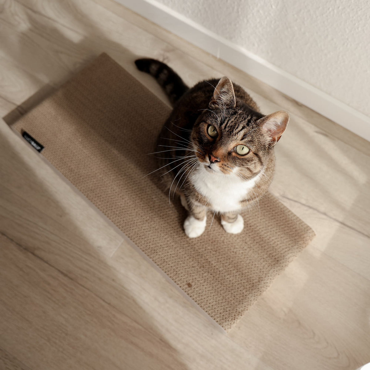 SCRATCHPAPER scratching cardboard