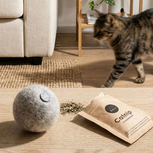 MINT BALL Filzball mit Katzenminze