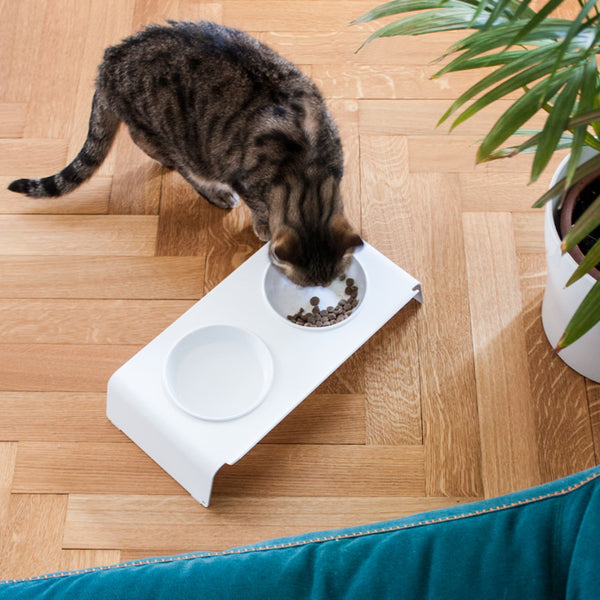 Stazione pasti DINE in bianco, gatto tigrato che mangia dalla ciotola, pavimento in parquet