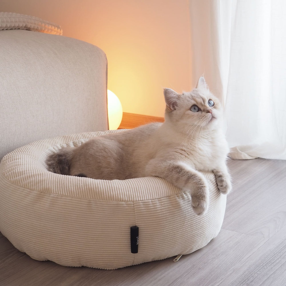NEST Katzenbett