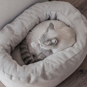 DINGHY Katzenbett