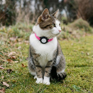NEMO Kattenhalsband voor de AirTag