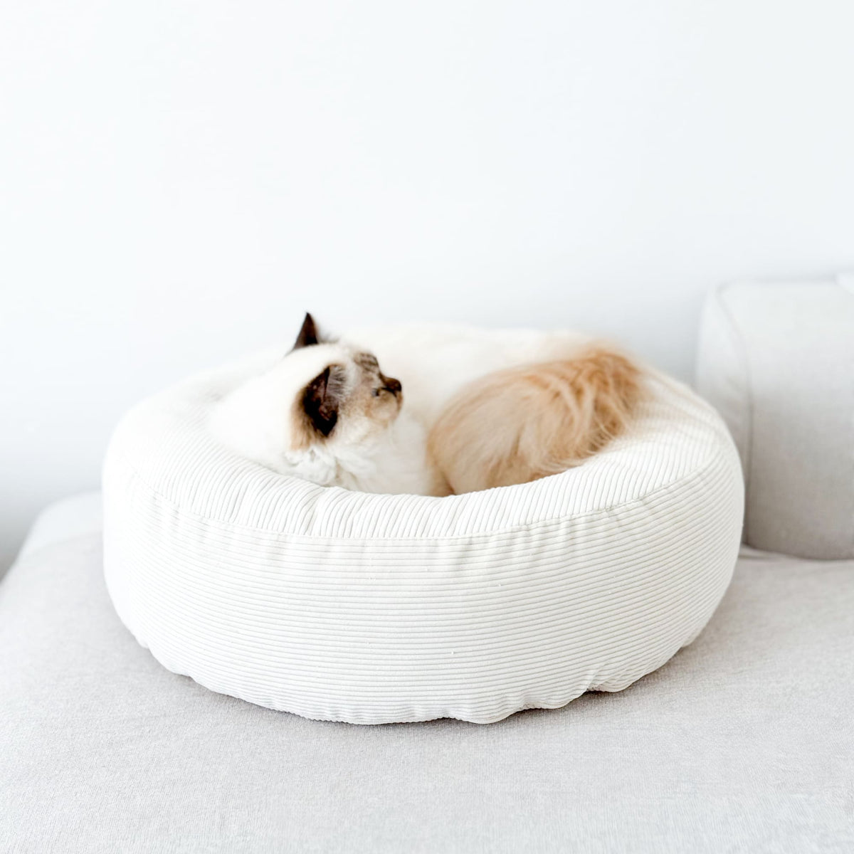 NEST Katzenbett