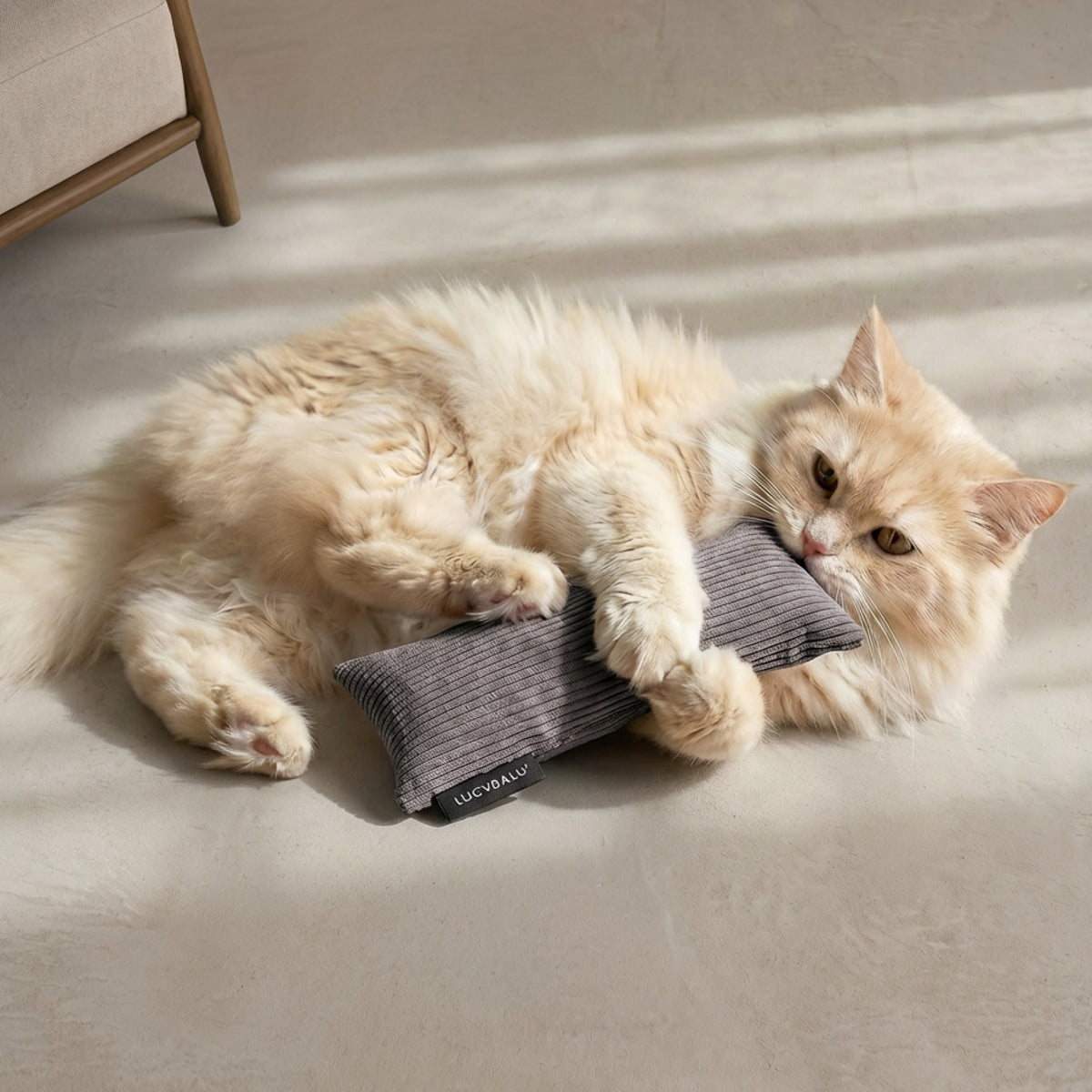 KICK BUNNY Coussin pour chat avec herbe à chat