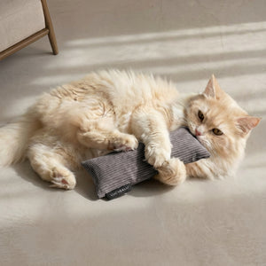 KICK BUNNY Coussin pour chat avec herbe à chat