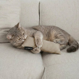 KICK BUNNY Coussin pour chat avec herbe à chat