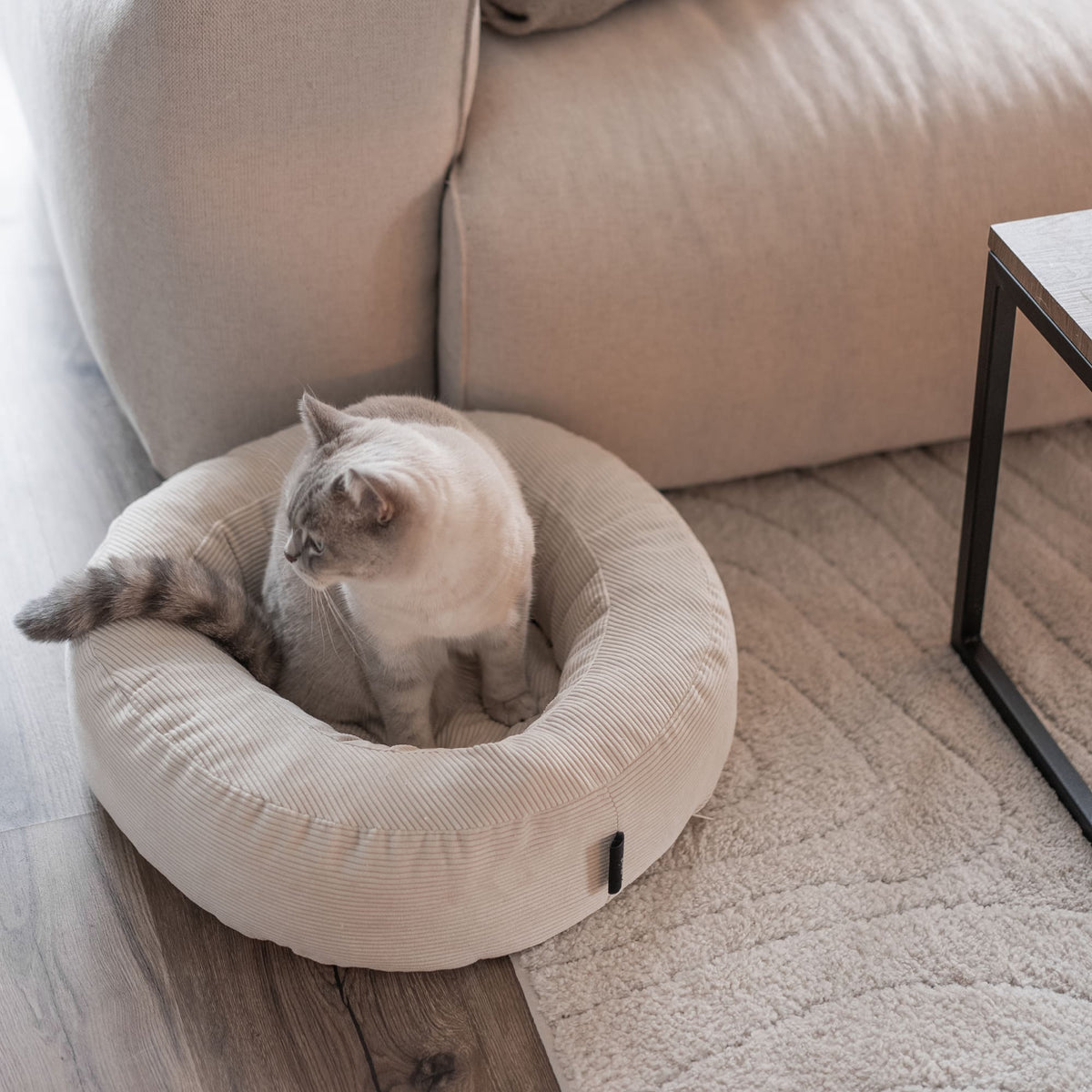 NEST Katzenbett