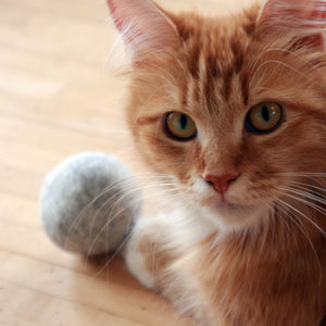 LucyBalu Katzen Minze Ball
