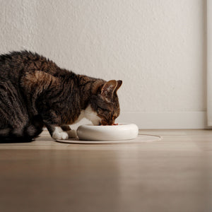 DROP Katzennapf