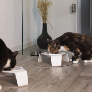 DELI Katzennapf erhöht