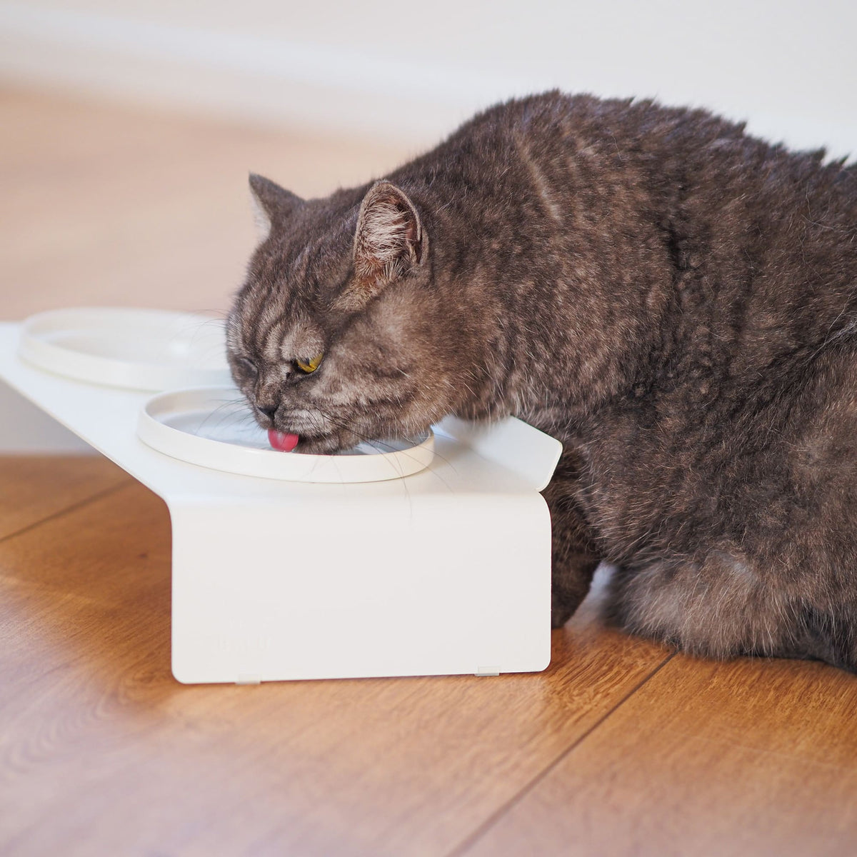 DINE Futterstation