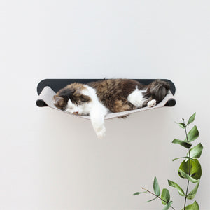 Langhaarige Katze schläft ausgestreckt in einer Wandhängematte aus Filz, neben einem dekorativen Eukalyptuszweig.