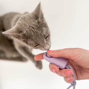 CLICKER Trainings-Klicker | 2er Set
