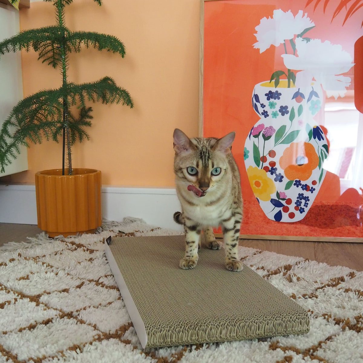 SCRATCHPAPER scratching cardboard