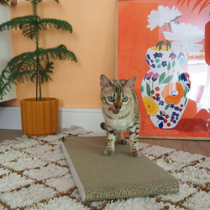 SCRATCHPAPER scratching cardboard