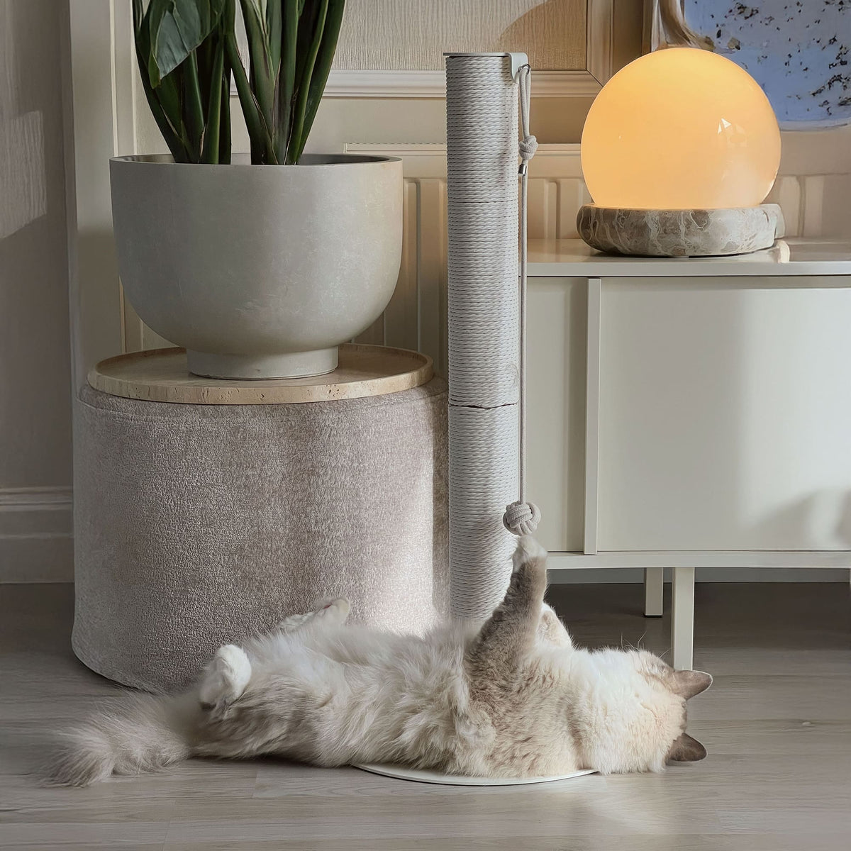 lucybalu katzen kratz stamm kratzsaeule weiß