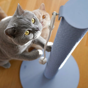 katzen kratz stamm kratzsaeule blau