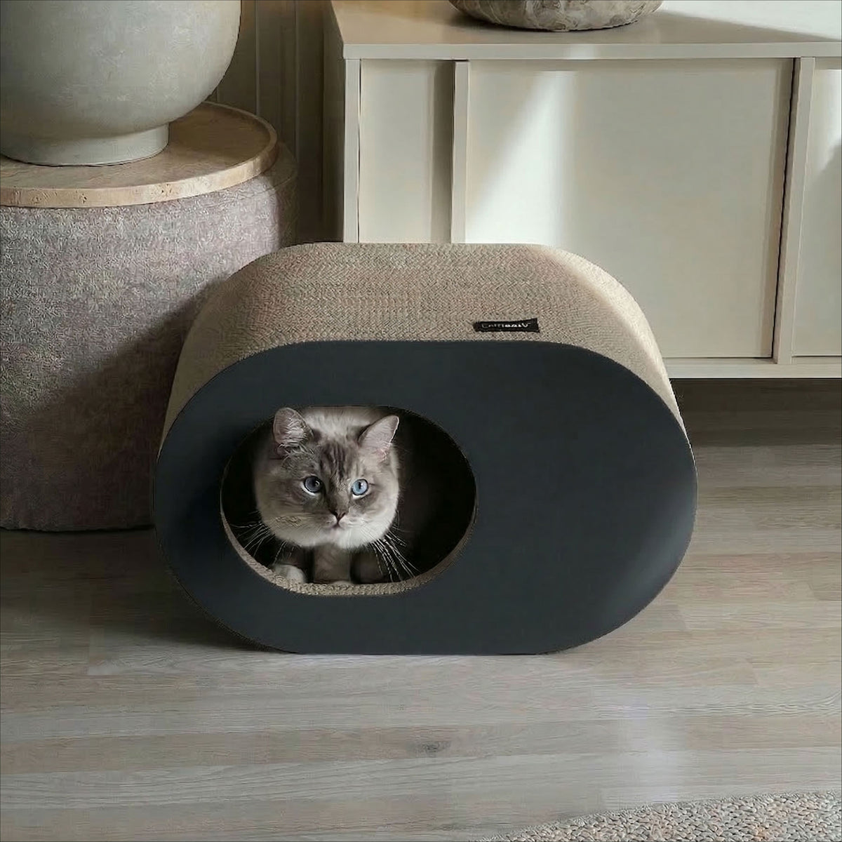PAPERCAVE kattengrot