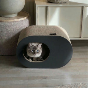 PAPERCAVE kattengrot