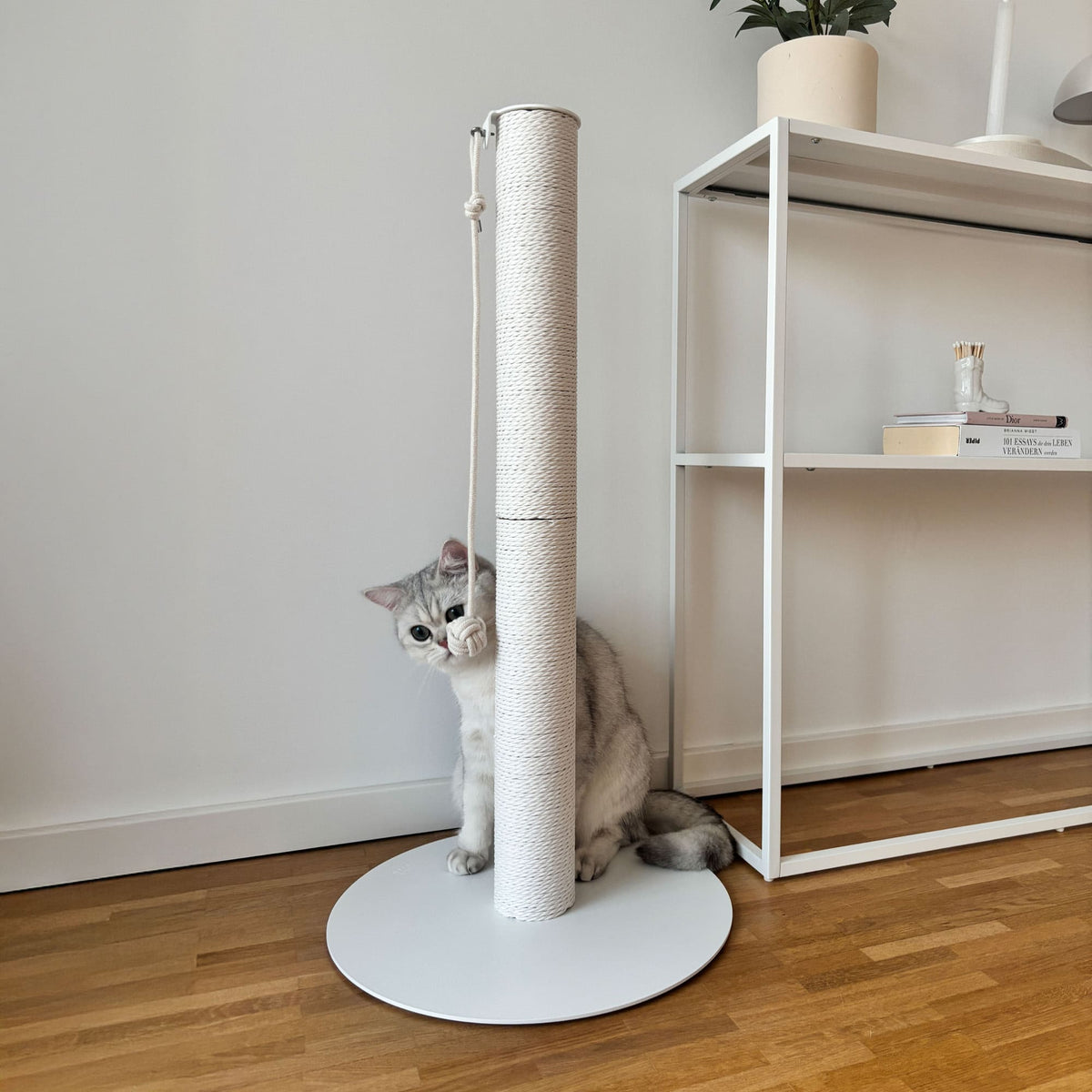 helles interior mit weißer lucybalu katzen kratzsaeule