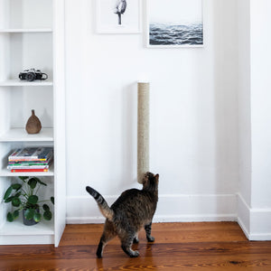 Set per parete per gatti bianco - CATWALK