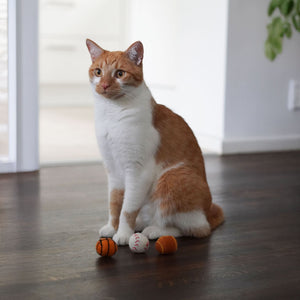 SUPER BALLS Jouet pour chat