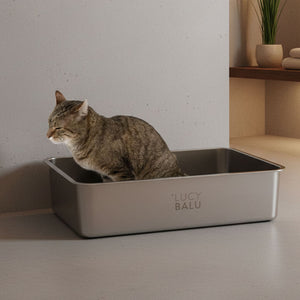 Getigerte Katze sitzt konzentriert in silberfarbener Katzentoilette von LUCY BALU – dezentes Interieur mit Spa-Atmosphäre