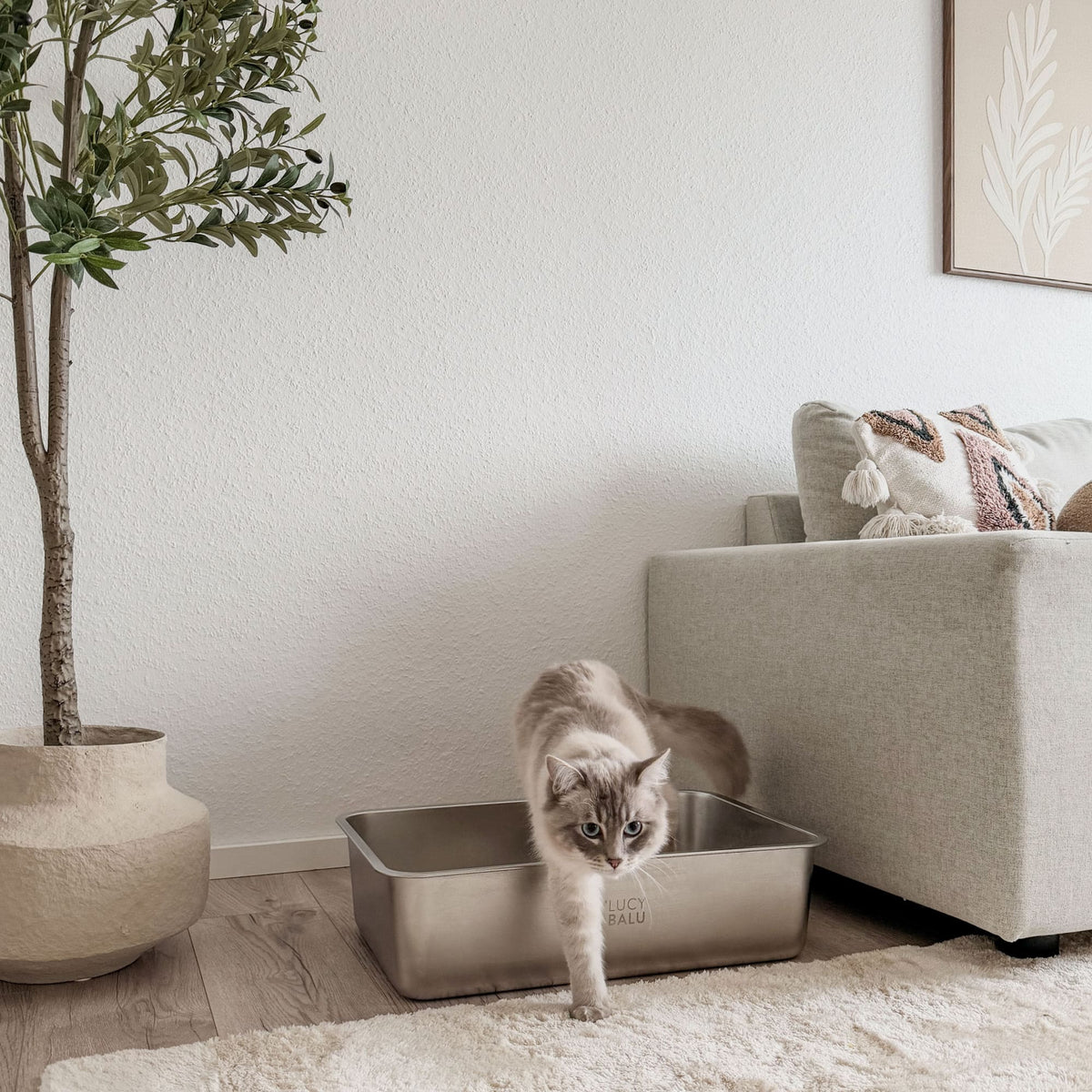Langhaarige Katze mit blauen Augen steigt aus einer silberfarbenen Katzentoilette aus Edelstahl – platziert neben einem hellen Sofa in einem stilvollen Wohnzimmer