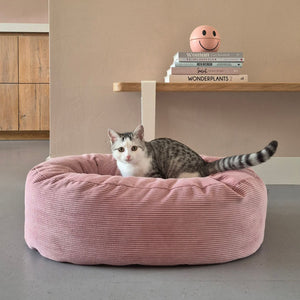 DINGHY Katzenbett