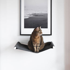 Getigerte Katze sitzt aufmerksam auf einer Hängematte unter einem großen Schwarz-Weiß-Foto von Vögeln am Strand.
