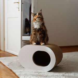 PAPERCAVE kattengrot