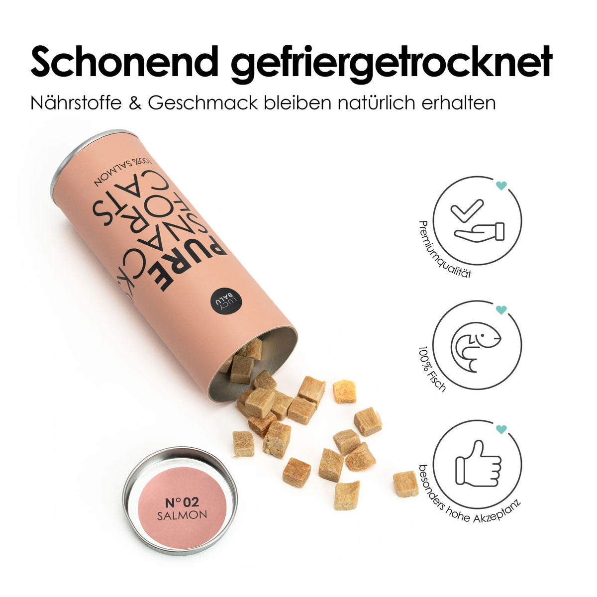 Umgekippte Dose mit der Aufschrift „Pure Snack for Cats – 100 % Salmon“, aus der würfelförmige gefriergetrocknete Katzenleckerlis herausfallen, daneben Symbolgrafiken.