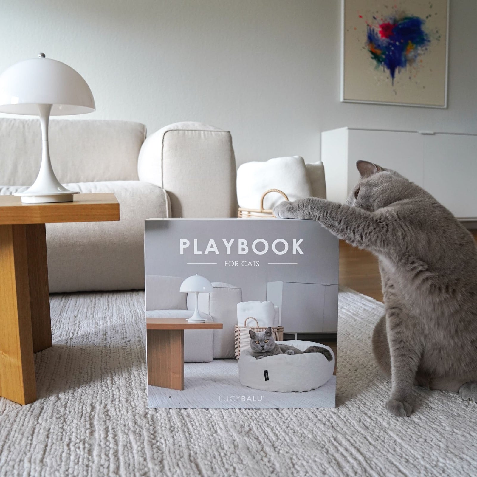 Kratzspielzeug aus Pappe im modernen Design mit runder Kratzfläche und integriertem Ball, präsentiert vor der Playbook Verpackung.