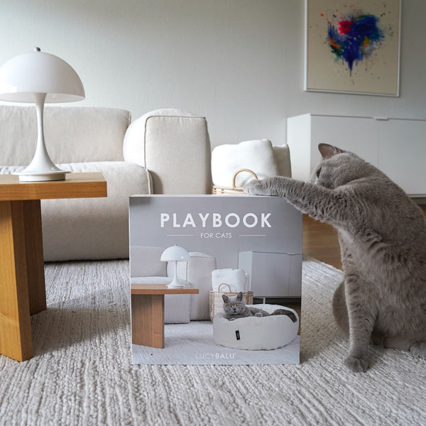 Giocattolo da grattare PLAYBOOK in cartone dal design moderno con area da grattare rotonda e pallina integrata, presentato davanti alla confezione PLAYBOOK