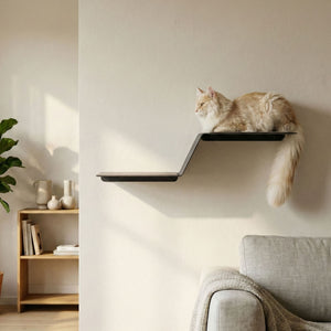 WAVE Cat step XXL