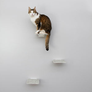 Set per parete per gatti bianco - CATWALK