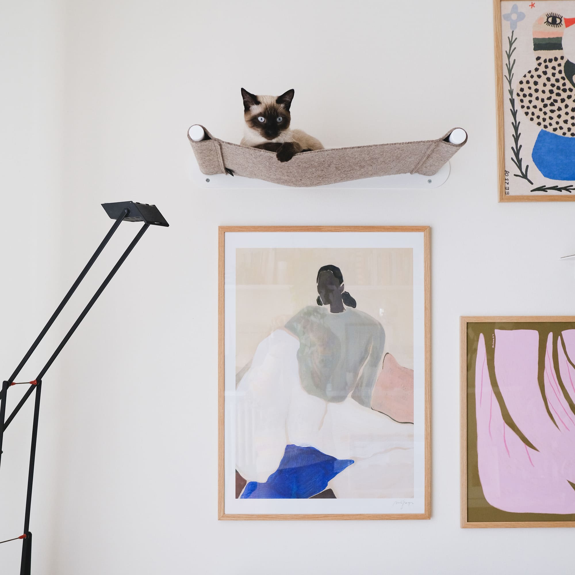 Siamkatze blickt neugierig von einer beigen Wandhängematte herab, montiert über mehreren gerahmten Kunstpostern.