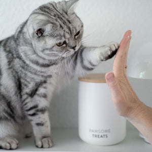 SNACK BAR Kattenvoer & Traktatieblik